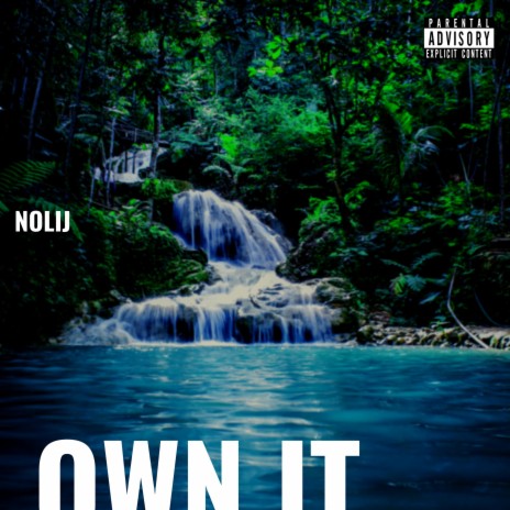 OWN IT | Boomplay Music