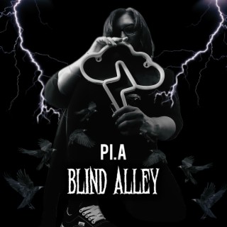 Blind Alley (Stop Judging)