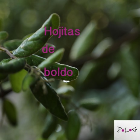Hojitas de boldo (feat. Paula Espinosa) | Boomplay Music