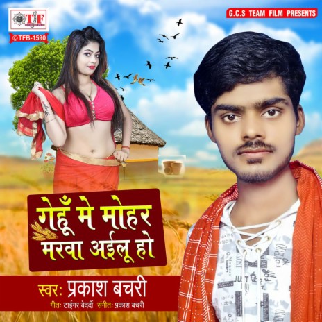 Gehu Me Mohar Marwa Ailu Ho | Boomplay Music