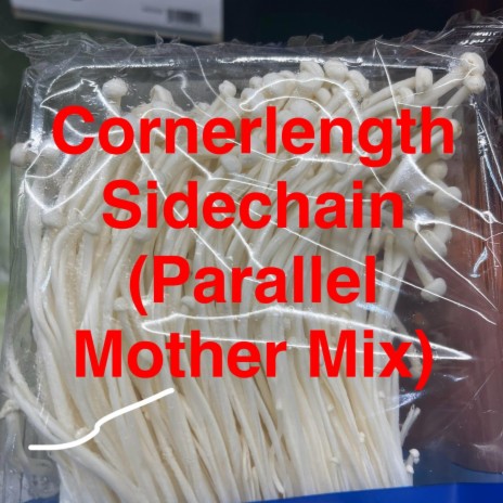 Cornerlength Sidechain (Parallel Mother Mix) | Boomplay Music