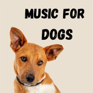 Music For Dogs (Vol.146)