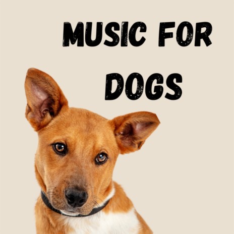 Background Music for Pets ft. Relaxing Puppy Music, Music For Dogs & Music For Dogs Peace