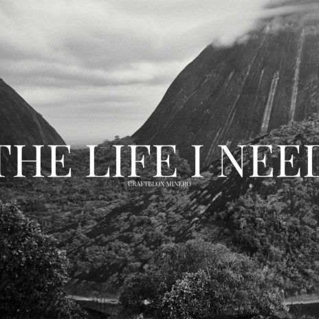 The Life I Need (Instrumental) | Boomplay Music