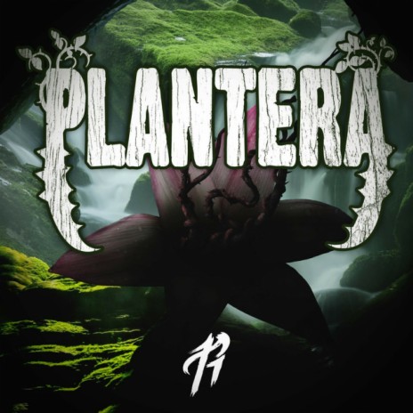 Plantera | Boomplay Music