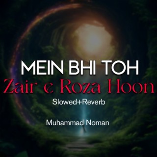 Mein Bhi Toh Zair e Roza Hoon Lofi