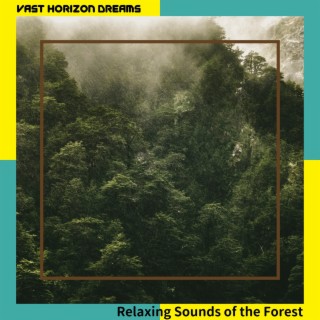 Relaxing Sounds of the Forest