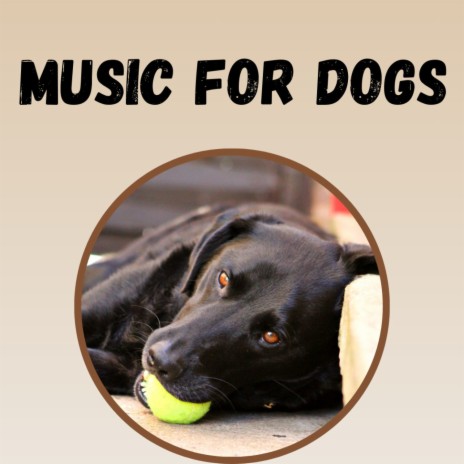 Deep Sleep ft. Music For Dogs Peace, Calm Pets Music Academy & Relaxing Puppy Music | Boomplay Music