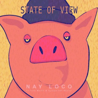 State Of View