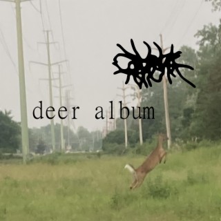 Deer Album