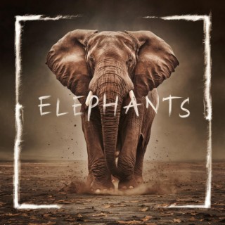 Elephants (Extended Version)