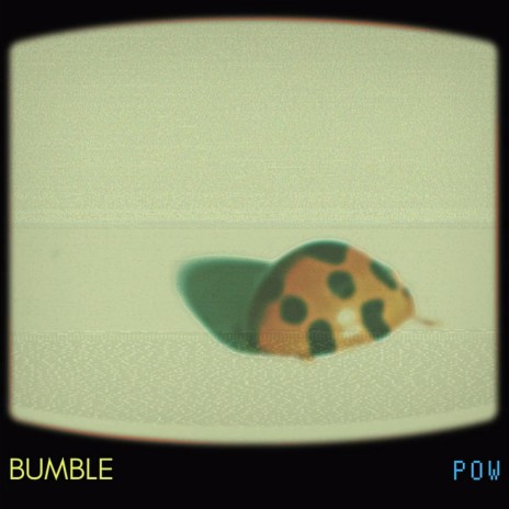 bumble | Boomplay Music