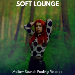 Soft Lounge - Mellow Sounds Feeling Relaxed