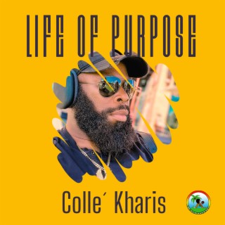 Life of Purpose lyrics | Boomplay Music