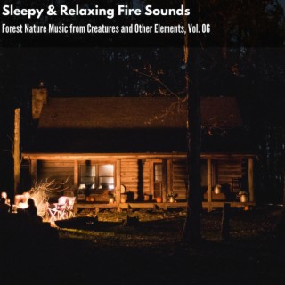 Sleepy & Relaxing Fire Sounds - Forest Nature Music from Creatures and Other Elements, Vol. 06