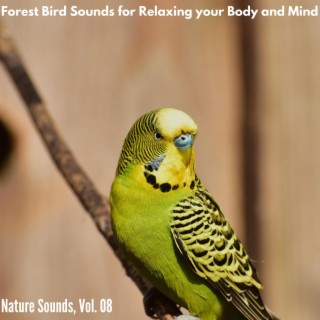 Forest Bird Sounds for Relaxing your Body and Mind - Nature Sounds, Vol. 08