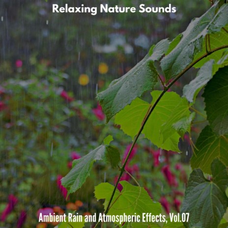 Pattering Rain on Thick Leaves | Boomplay Music