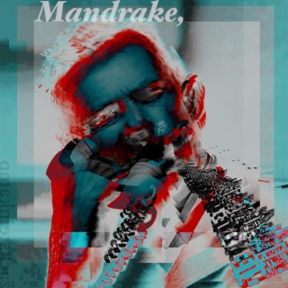 Mandrake,