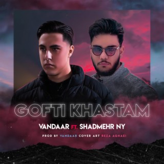 Gofti Khastam (feat. vandaar)