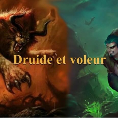 Druide et voleur