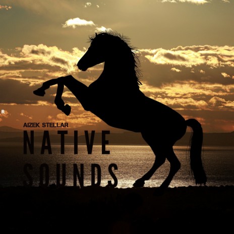 Native Sounds | Boomplay Music