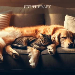 PET THERAPY: Sleep Music, Binaural Beats for Dogs & Cats, Sleep Disorders