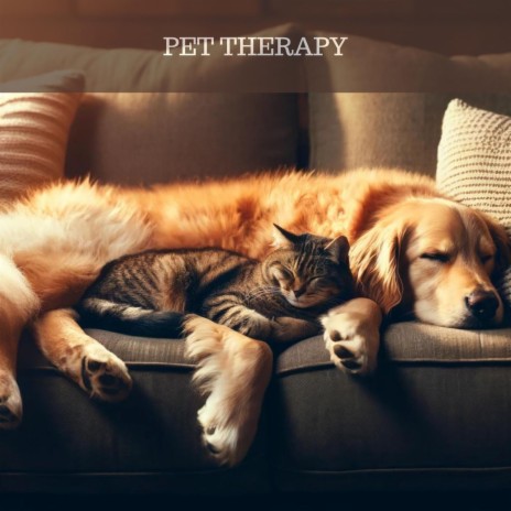 Paws & Relax | Boomplay Music
