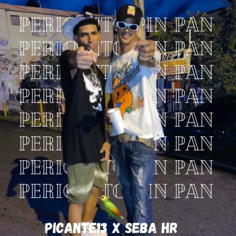 Periquito pin pan ft. Picante13 & Seba hr | Boomplay Music
