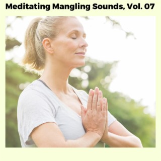 Meditating Mangling Sounds, Vol. 07