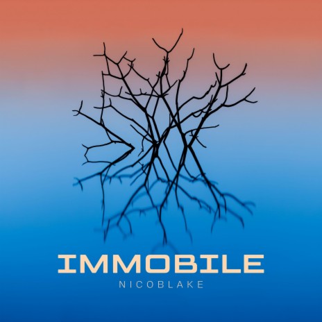 immobile | Boomplay Music