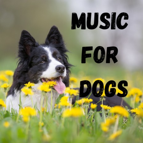 Lost in the Sheets ft. Music For Dogs Peace, Relaxing Puppy Music & Calm Pets Music Academy