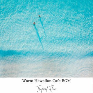 Warm Hawaiian Cafe Bgm