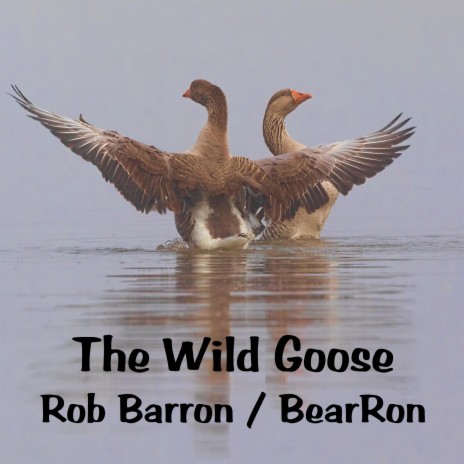 The Wild Goose | Boomplay Music