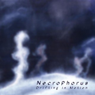 Necrophorus