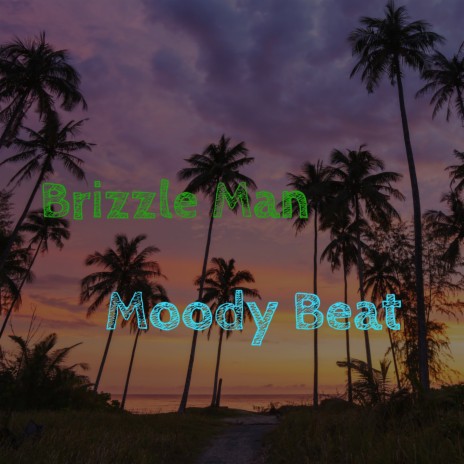 Moody Beat ft. Brizzleman Records | Boomplay Music