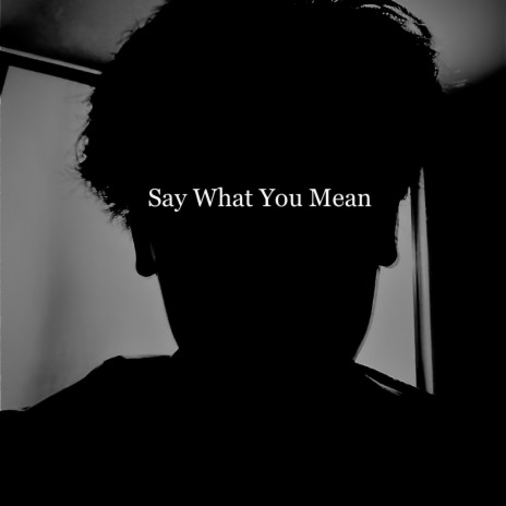 Say What You Mean | Boomplay Music