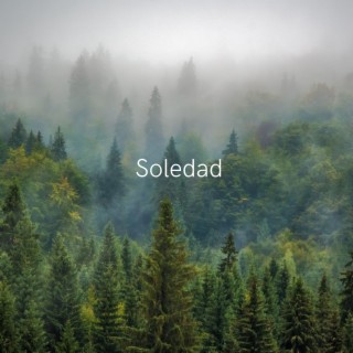 Soledad