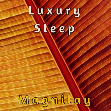 Luxury Sleep | Boomplay Music