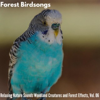 Forest Birdsongs - Relaxing Nature Sounds Woodland Creatures and Forest Effects, Vol. 06