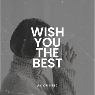 Wish You The Best (Acoustic Version)