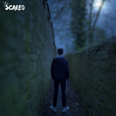 Too Scared | Boomplay Music