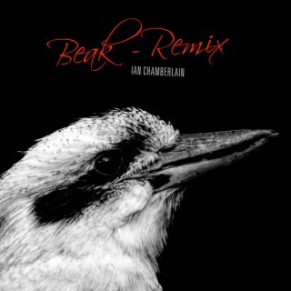 Beak (Remix)