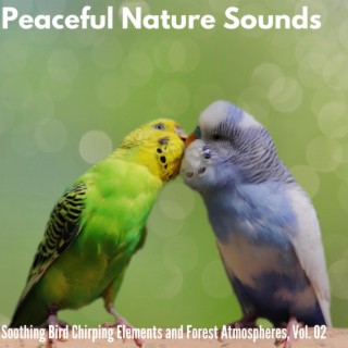 Peaceful Nature Sounds - Soothing Bird Chirping Elements and Forest Atmospheres, Vol. 02