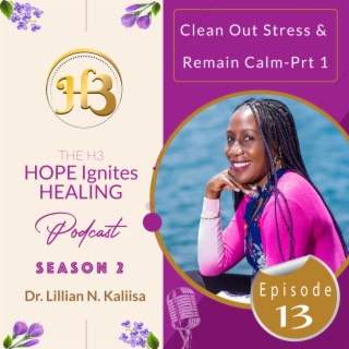 April 2023: Clean Out Stress & Remain Calm - Part 1 Sn - 02, Ep - 13