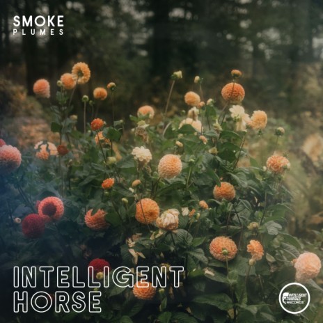 Intelligent Horse | Boomplay Music