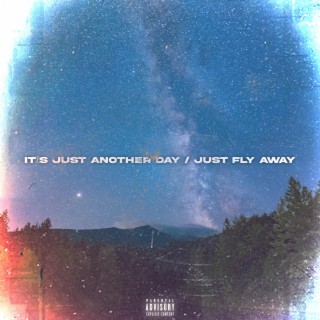 IT'S JUST ANOTHER DAY / JUST FLY AWAY