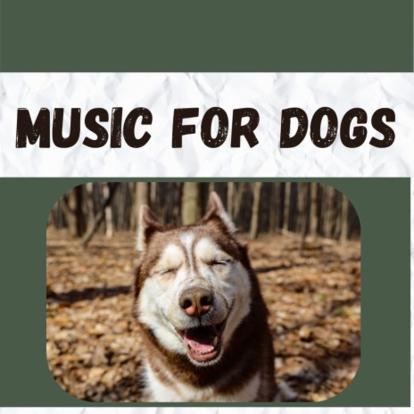 Background Music for Dogs ft. Music For Dogs Peace, Calm Pets Music Academy & Relaxing Puppy Music | Boomplay Music