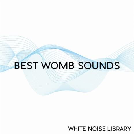 Womb Sound 5- Loopable With No Fade ft. White Noise Library & Womb Sound