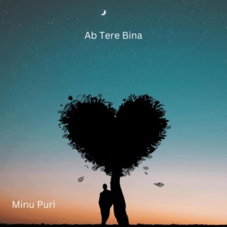 Ab Tere Bina