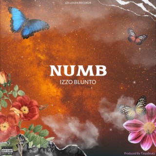 NUMB